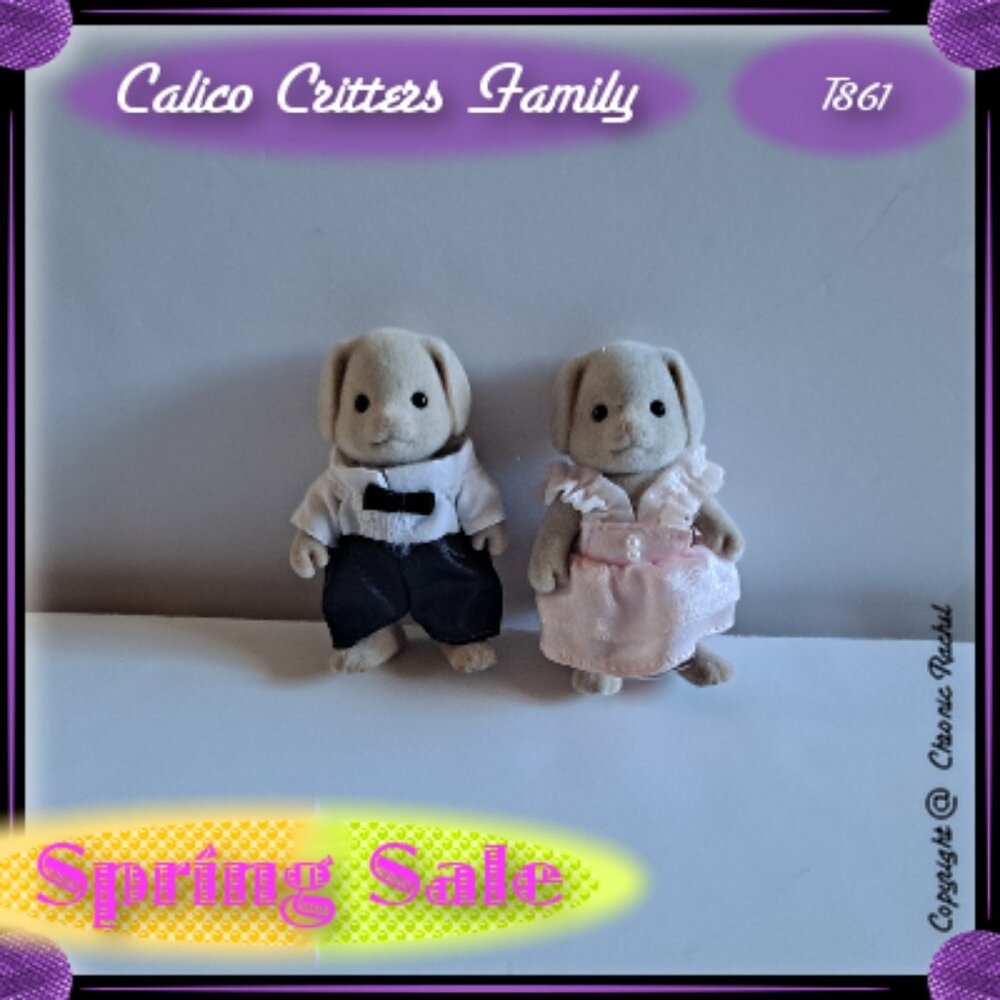 Fancy Basset Dog Adults